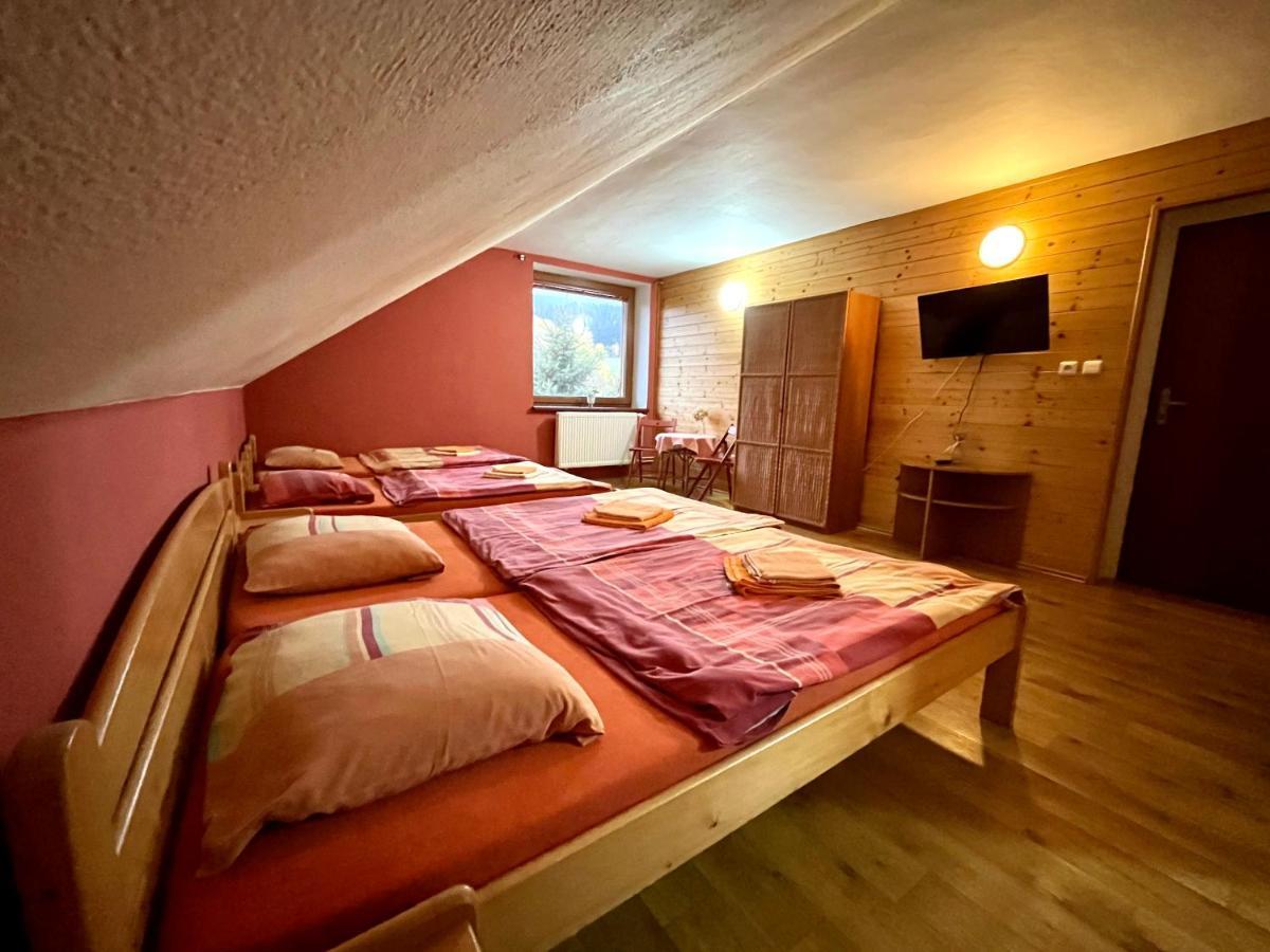 Penzion Horal Hotel Dolní Morava Buitenkant foto