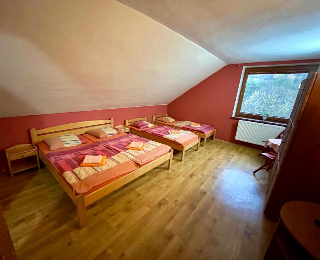 Penzion Horal Hotel Dolní Morava Buitenkant foto