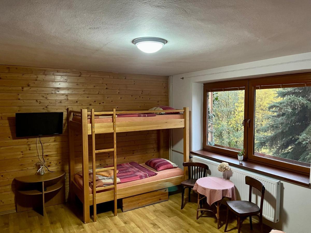 Penzion Horal Hotel Dolní Morava Buitenkant foto