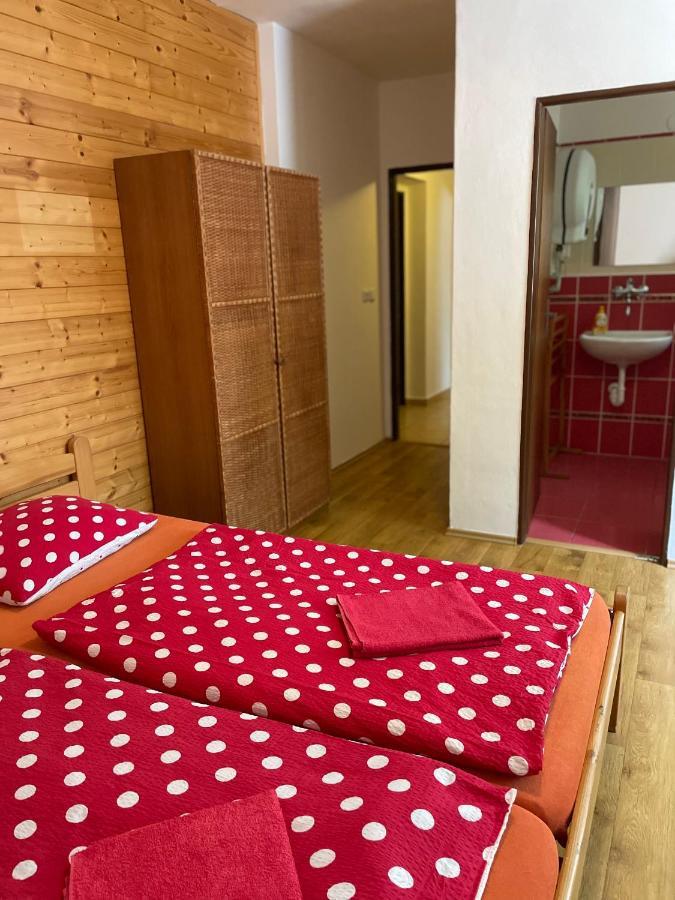 Penzion Horal Hotel Dolní Morava Buitenkant foto